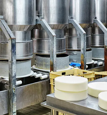 Dairy Plants